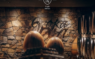 Vina Marjan Simčič Domain - pirahotel.si