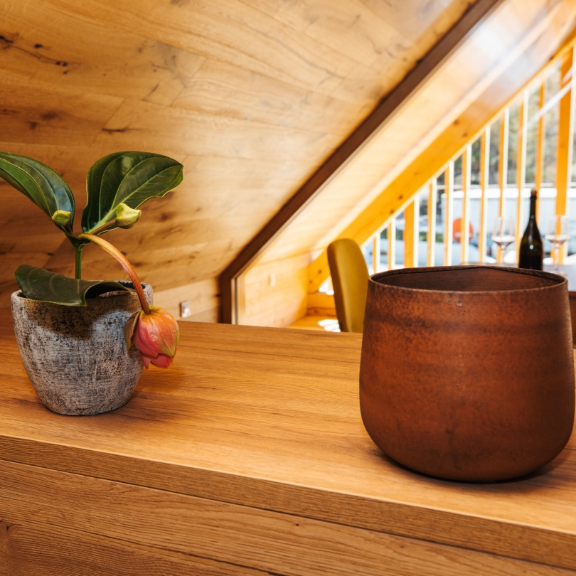 Accomodation - pirahotel.si