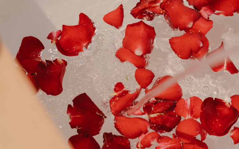 Pira Hotel Restavracija -  pirahotel.si